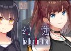 Steam游戏幻觉(hallucination)众筹实物开箱（120元档）