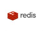 Docker Redis数据库缓存配置(WordPress)